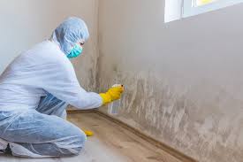 Best Real Estate Mold Inspection  in Mount Arlington, NJ